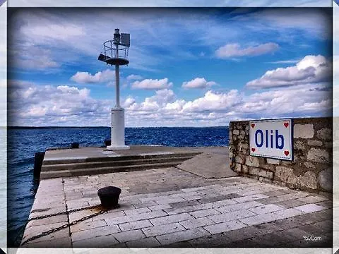 Holiday home Rose House Villa Olib